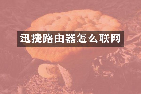 迅捷路由器怎么联网
