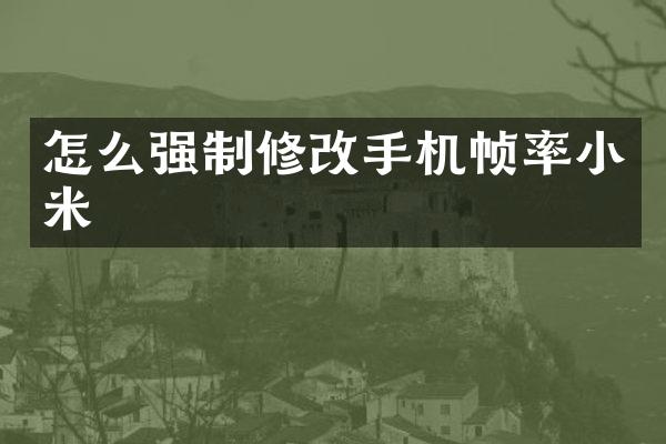 怎么强制修帧率小米