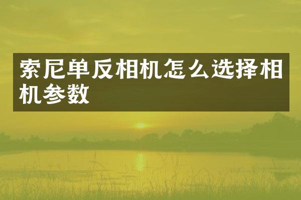 单反相机怎么选择相机参数