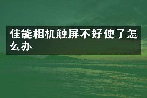 佳能相机触屏不好使了怎么办