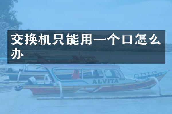 交换机只能用一个口怎么办