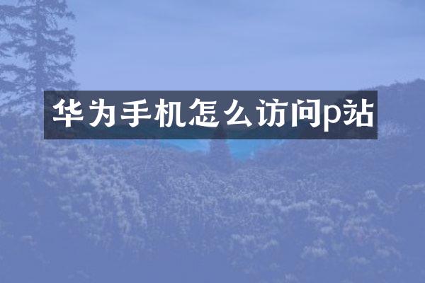 华为手机怎么访问p站