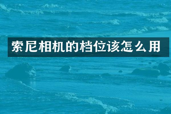 相机的档位该怎么用