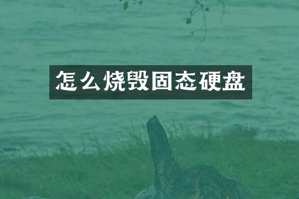 怎么烧毁固态硬盘