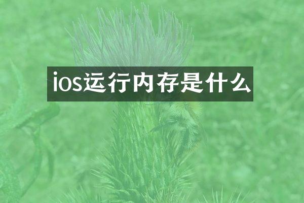 ios运行内存是什么