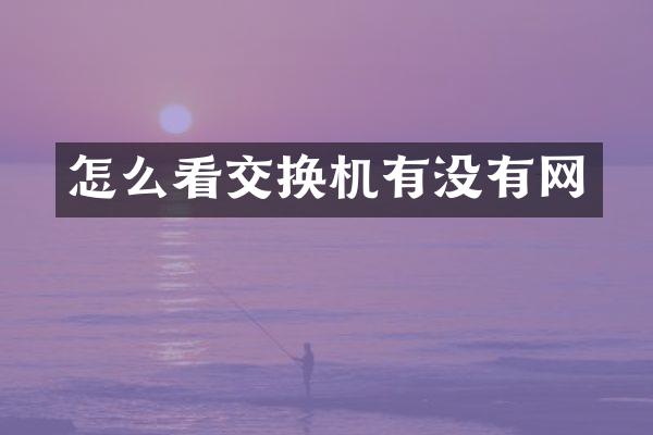 怎么看交换机有没有网