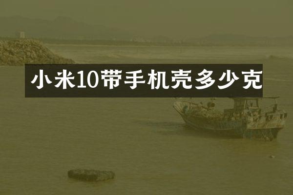小米10带手机壳多少克