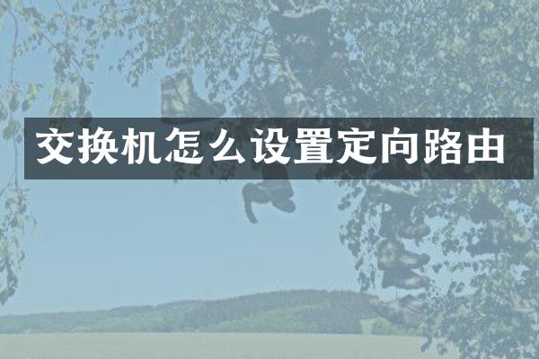 交换机怎么设置定向路由