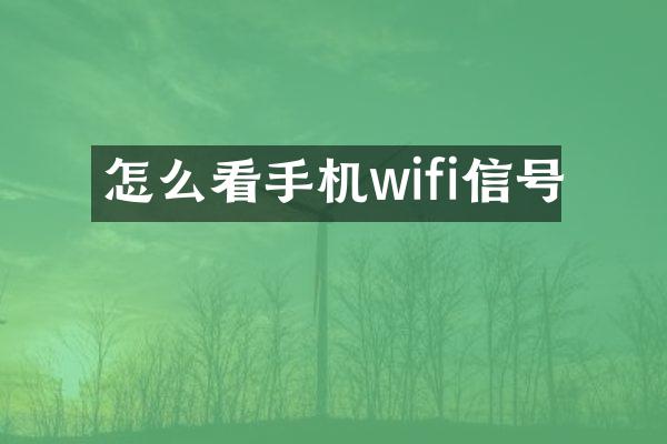 怎么看手机wifi信号