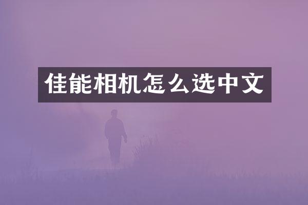 佳能相机怎么选中文