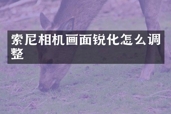 相机画面锐化怎么调整