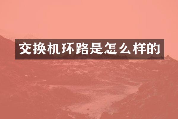 交换机环路是怎么样的
