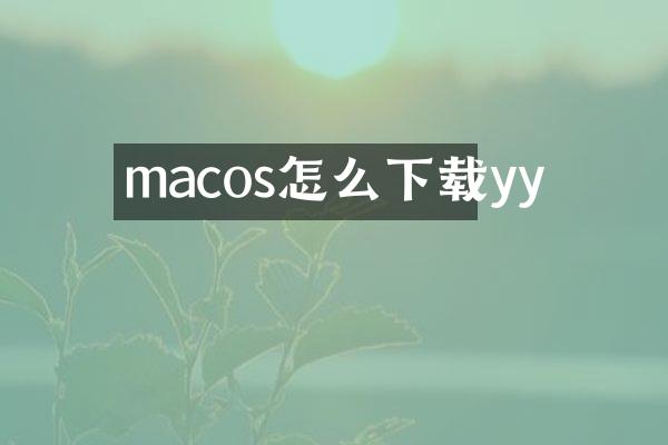 macos怎么下载yy