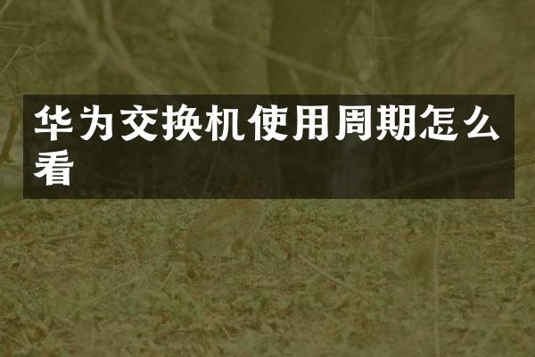 华为交换机使用周期怎么看