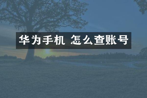 华为手机 怎么查账号