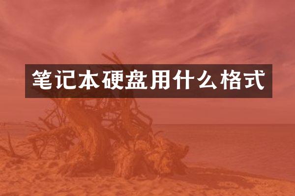 笔记本硬盘用什么格式