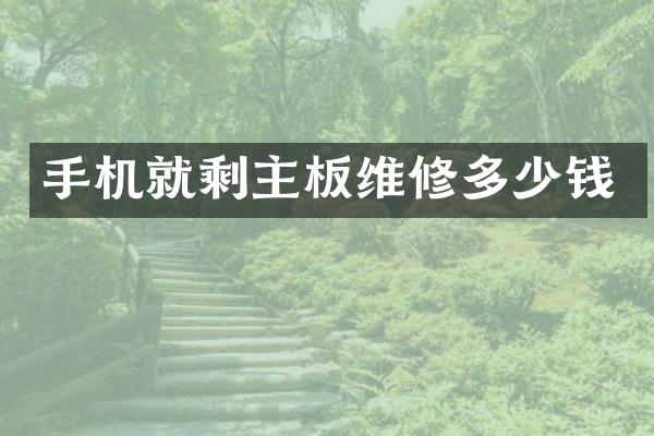 手机就剩主板维修多少钱