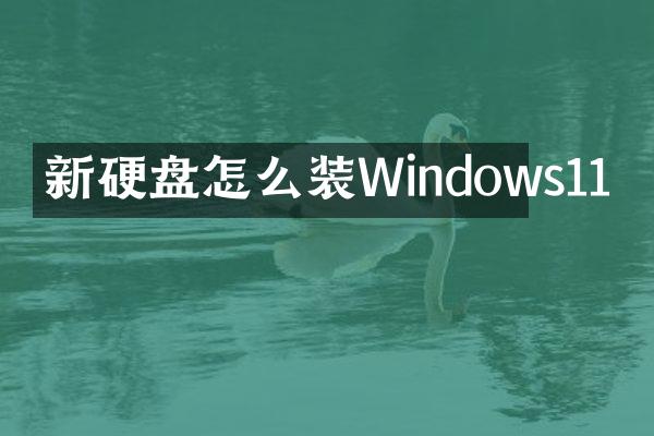 新硬盘怎么装Windows11