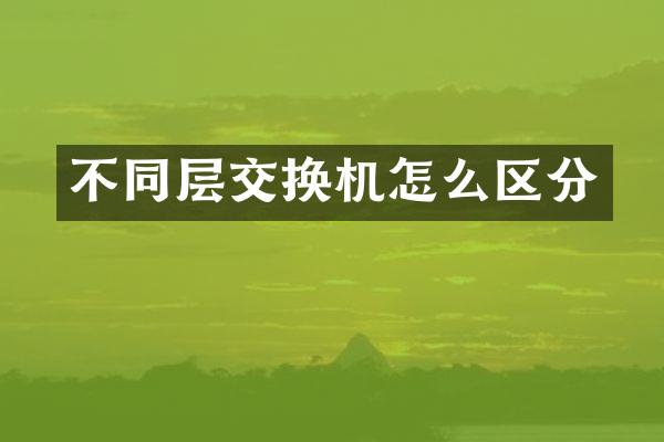 不同层交换机怎么区分