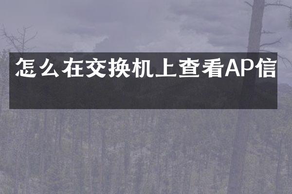 怎么在交换机上查看AP信息