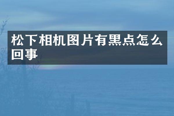 相机图片有黑点怎么回事