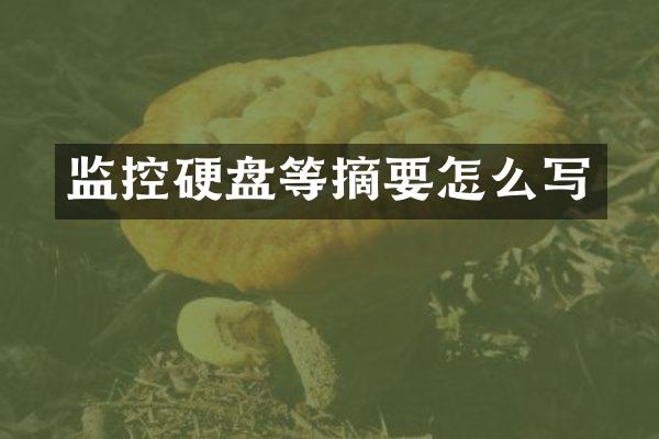 监控硬盘等摘要怎么写