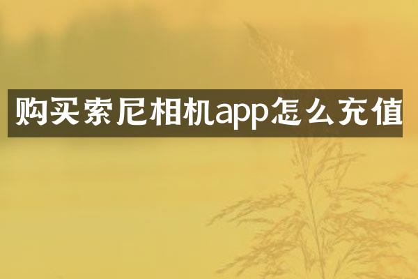 购买相机app怎么充值