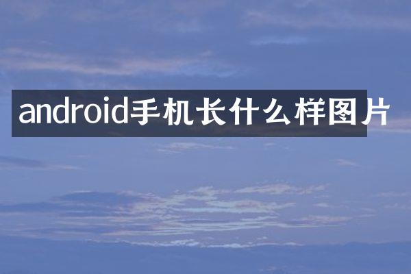 android手机长什么样图片