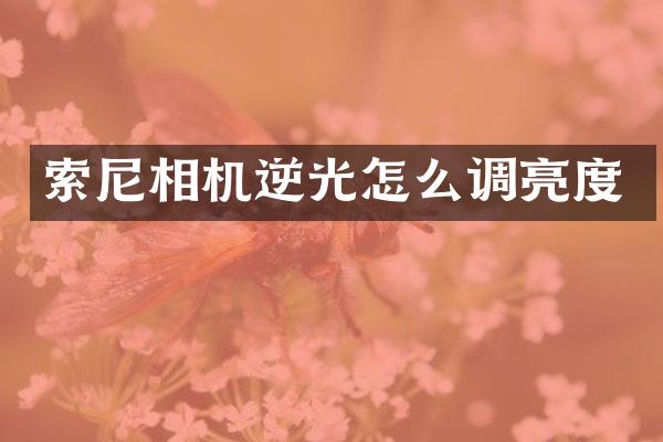 相机逆光怎么调亮度