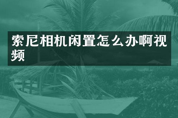 相机闲置怎么办啊视频