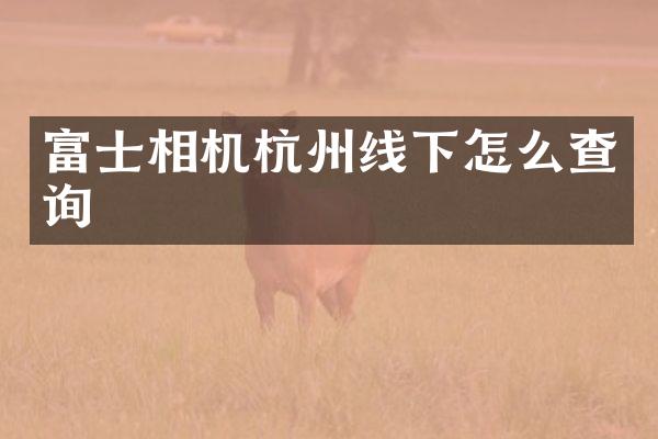 富士相机杭州线下怎么查询