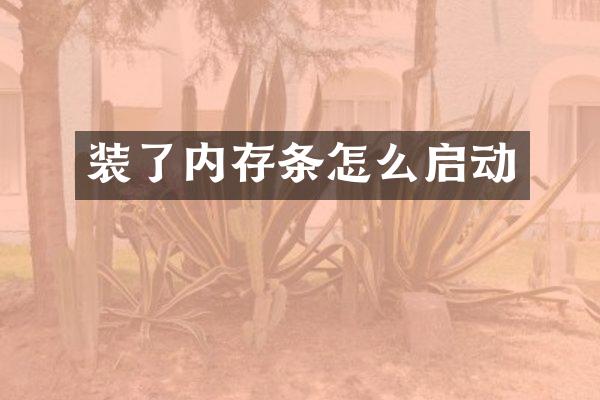 装了内存条怎么启动