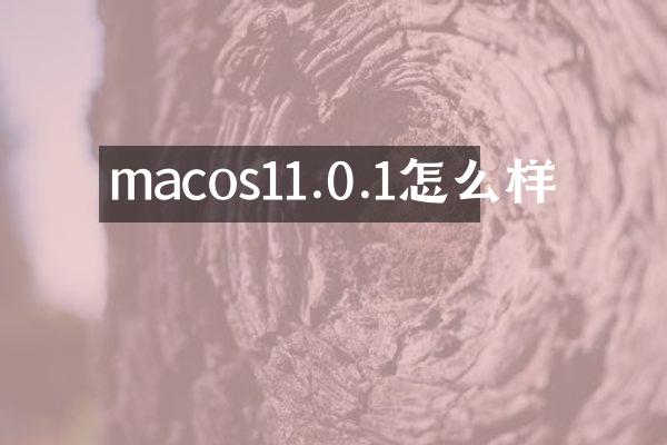 macos11.0.1怎么样