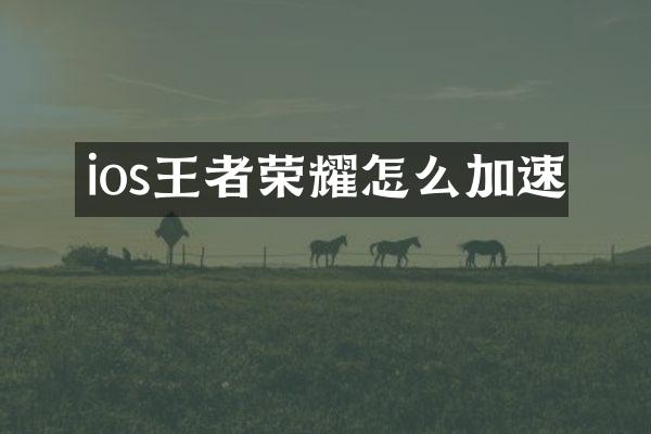 ios王者荣耀怎么加速