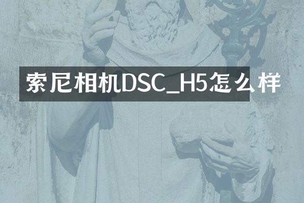 相机DSC_H5怎么样