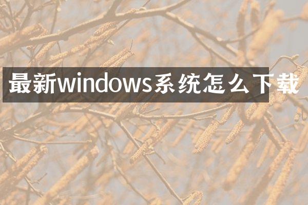 最新windows系统怎么下载