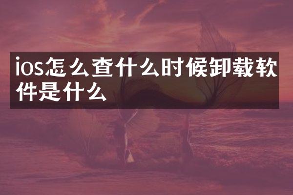 ios怎么查什么时候卸载软件是什么
