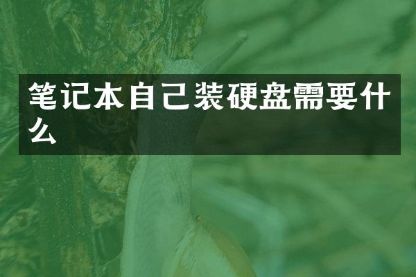 笔记本自己装硬盘需要什么