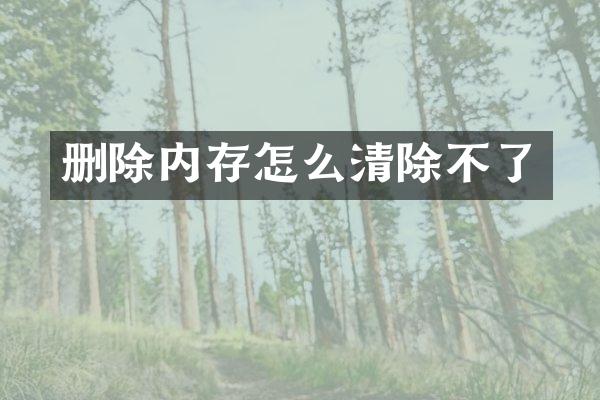 删除内存怎么清除不了