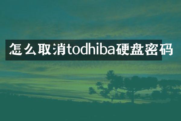 怎么取消todhiba硬盘密码