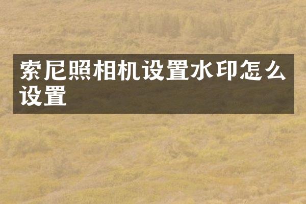 照相机设置水印怎么设置