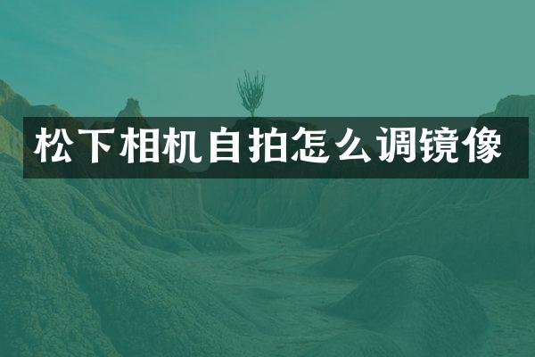 相机怎么调镜像