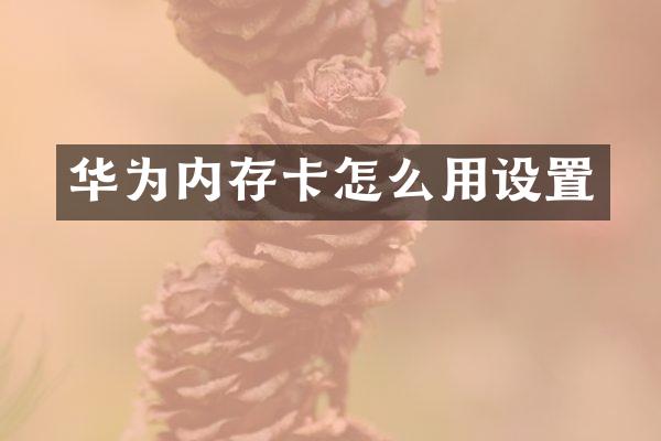 华为内存卡怎么用设置
