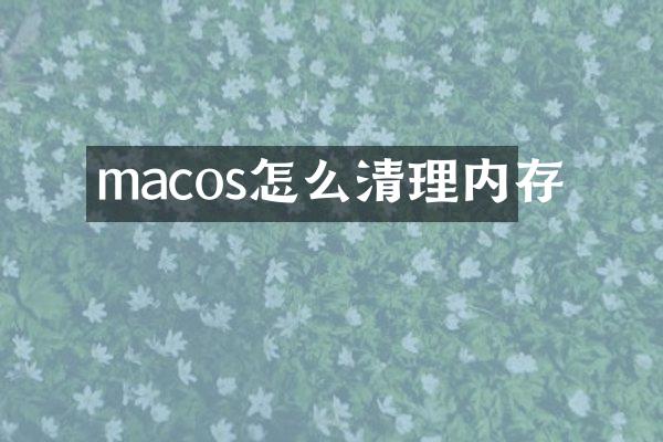 macos怎么清理内存