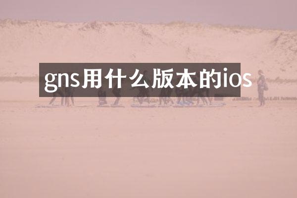 gns用什么版本的ios
