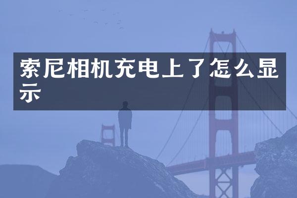 相机充电上了怎么显示