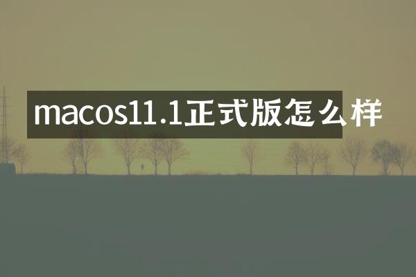 macos11.1正式版怎么样