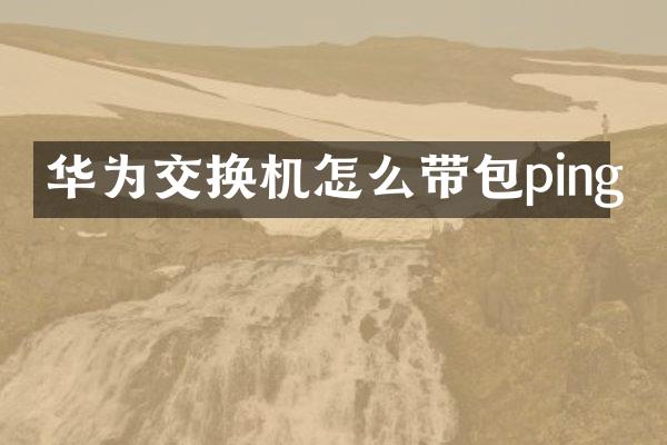 华为交换机怎么带包ping