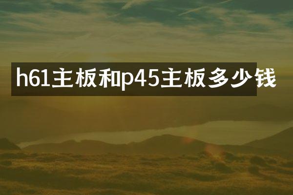 h61主板和p45主板多少钱