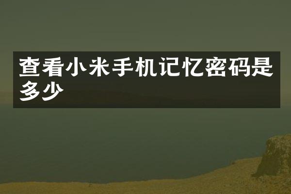 查看小米手机记忆密码是多少